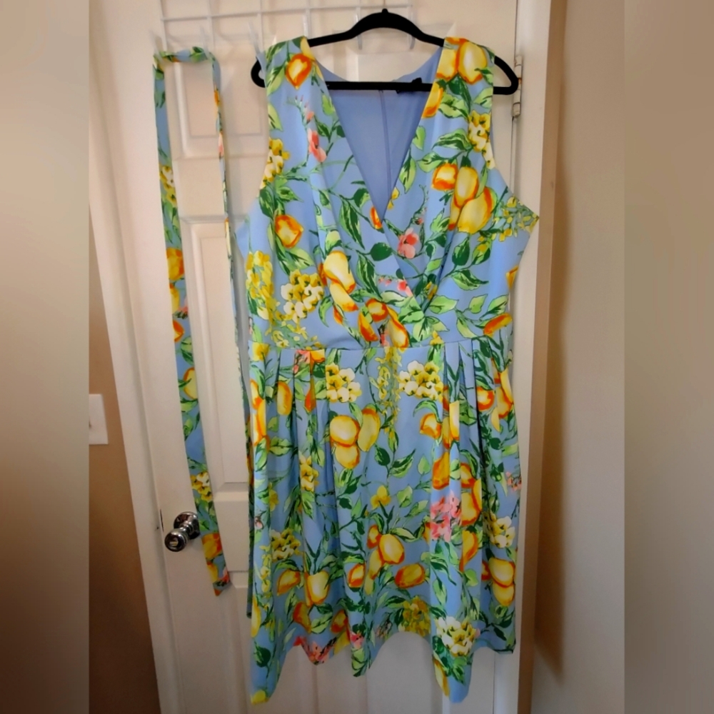 R&K Blue Lemon Print Dress